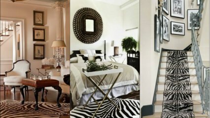 Zebra moda em decoração de casa