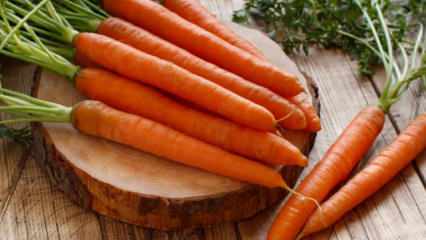 Como cultivar cenouras em vasos em casa? Métodos de cultivo de cenoura em vasos