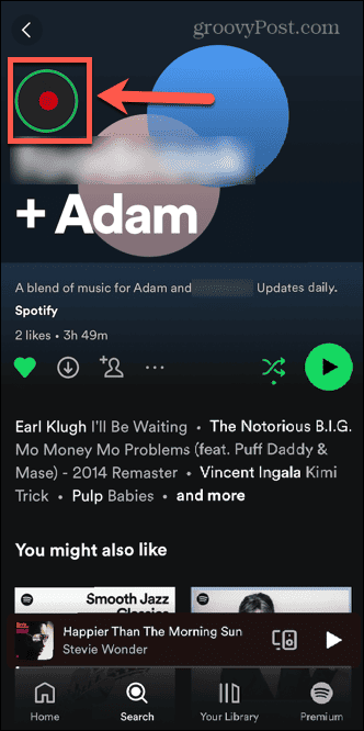 ícone da história do spotify