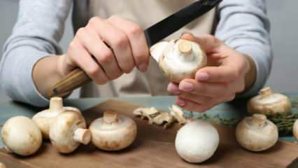 Como descascar cogumelos? Como evitar o escurecimento dos cogumelos, quais são as dicas