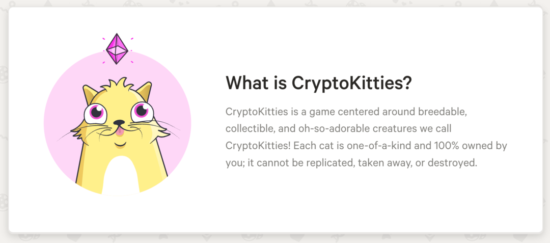 projeto-cripto-kitties-nft