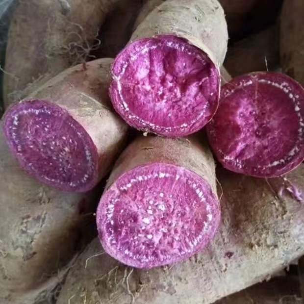 os benefícios da batata doce (cultivada na china)
