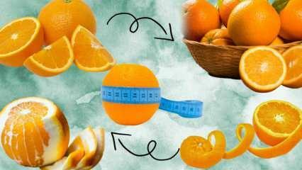 Quantas calorias tem uma laranja? Quantos gramas equivale a 1 laranja média? Comer laranja faz você ganhar peso?
