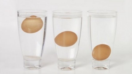 Como entender os ovos obsoletos?