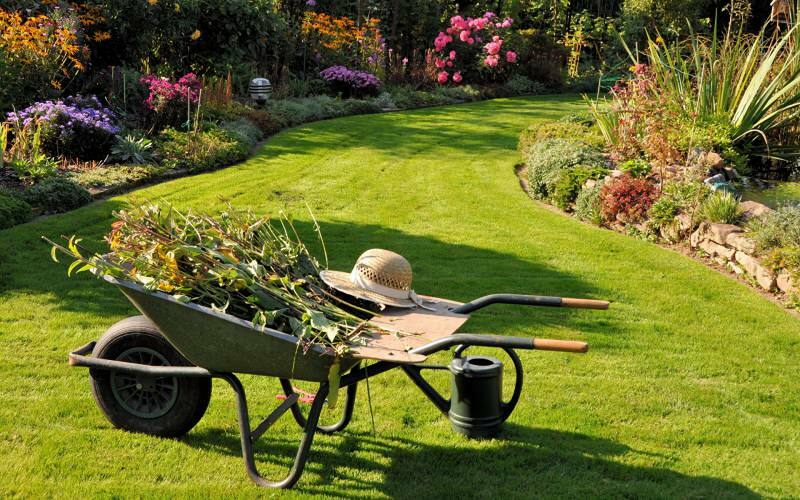 Como é feita a limpeza do jardim? Sugestões para limpeza e encomenda de jardins!