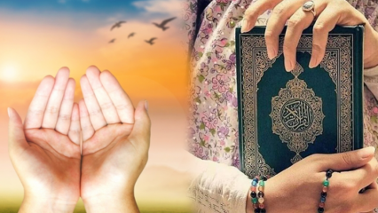Como fazer a oração do meio-dia em casa? As virtudes da oração do meio-dia de 10 rakat