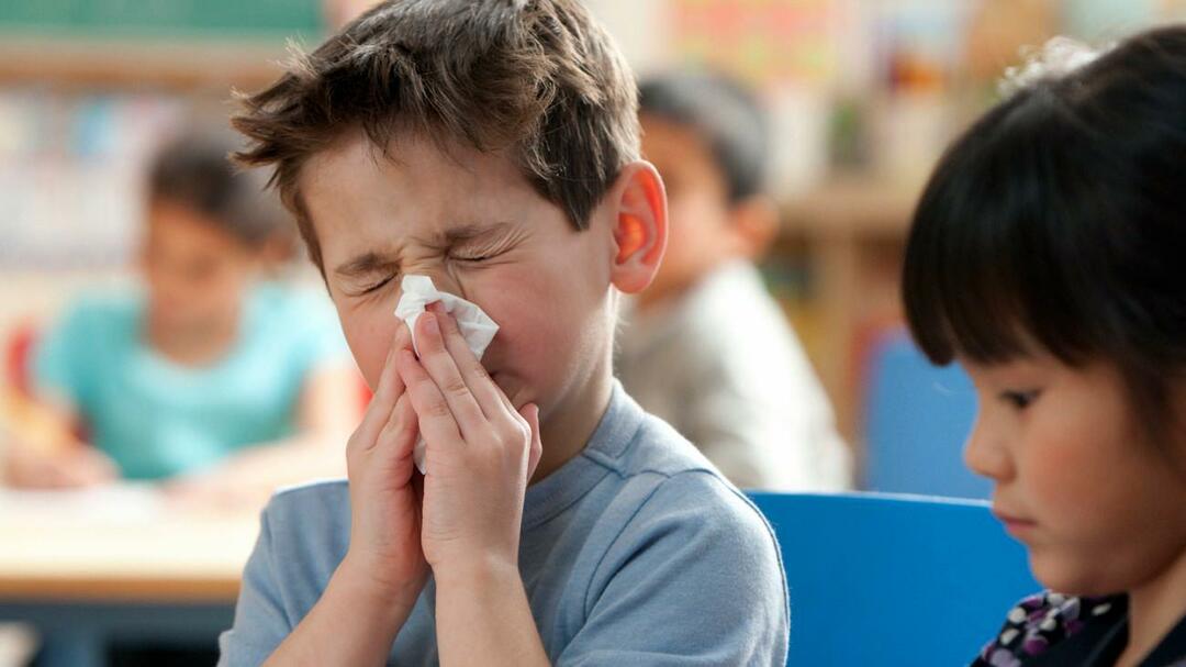 gripe sazonal