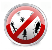 Instale o antivírus para esmagar bugs e códigos de vírus desagradáveis!