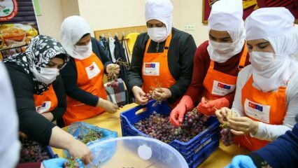 Mulheres sírias aprendem a transformar uvas em melaço em Izmir