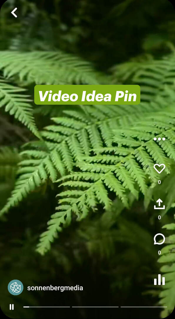quais são-pinterest-idea-pins-sonnenbergmedia-video-pin-example-1
