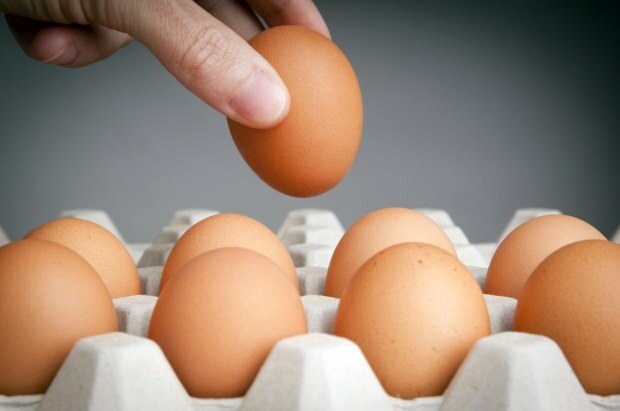 Métodos de armazenamento de ovos