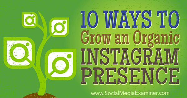 dicas de marketing orgânico para aumentar os seguidores do Instagram