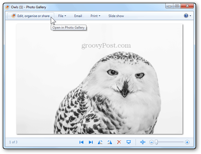Redimensionar várias fotos com a Galeria de Fotos do Windows Live