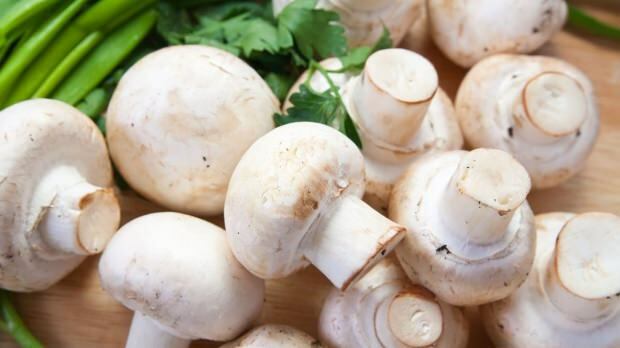 quantos tipos de cogumelos existem