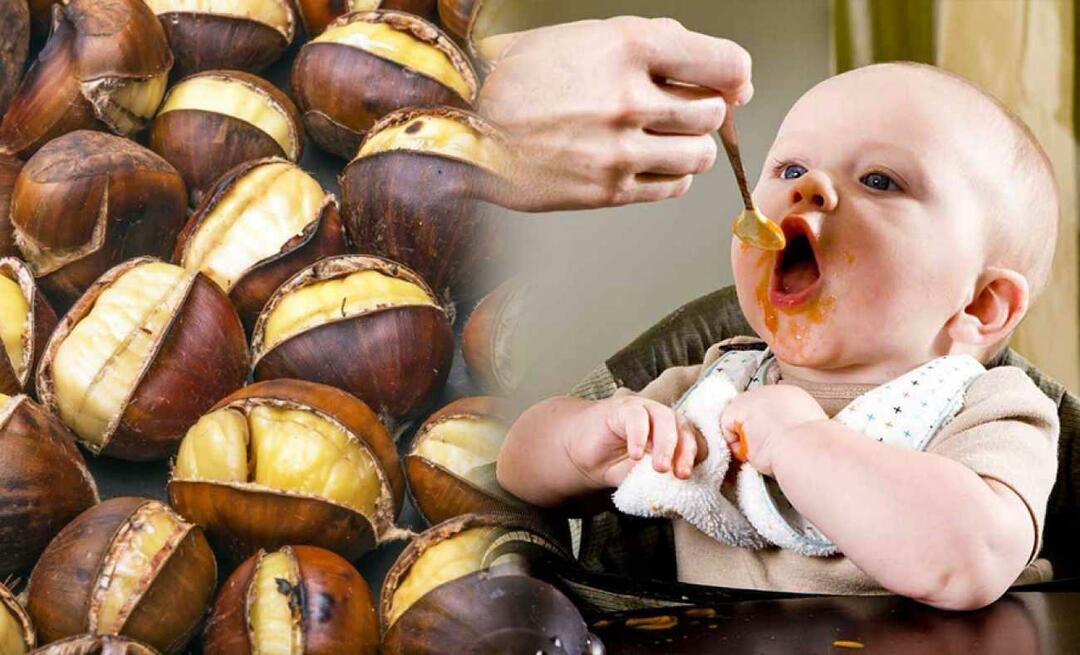 Bebês podem comer castanhas? Como fazer pudim de castanha?