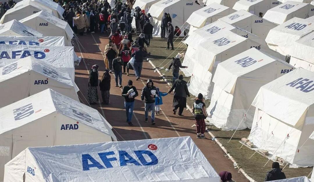 No dia 15 de fevereiro, todas as telas se tornam um só coração: Solidariedade do século...