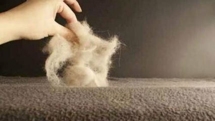 Truques de limpeza de carpetes 