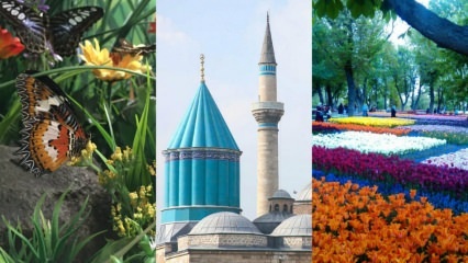 Guia de viagens em Konya