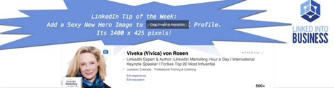 viveka von rosen imagem do linkedin hero