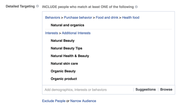 exemplo de opções detalhadas de segmentação de anúncio do Facebook