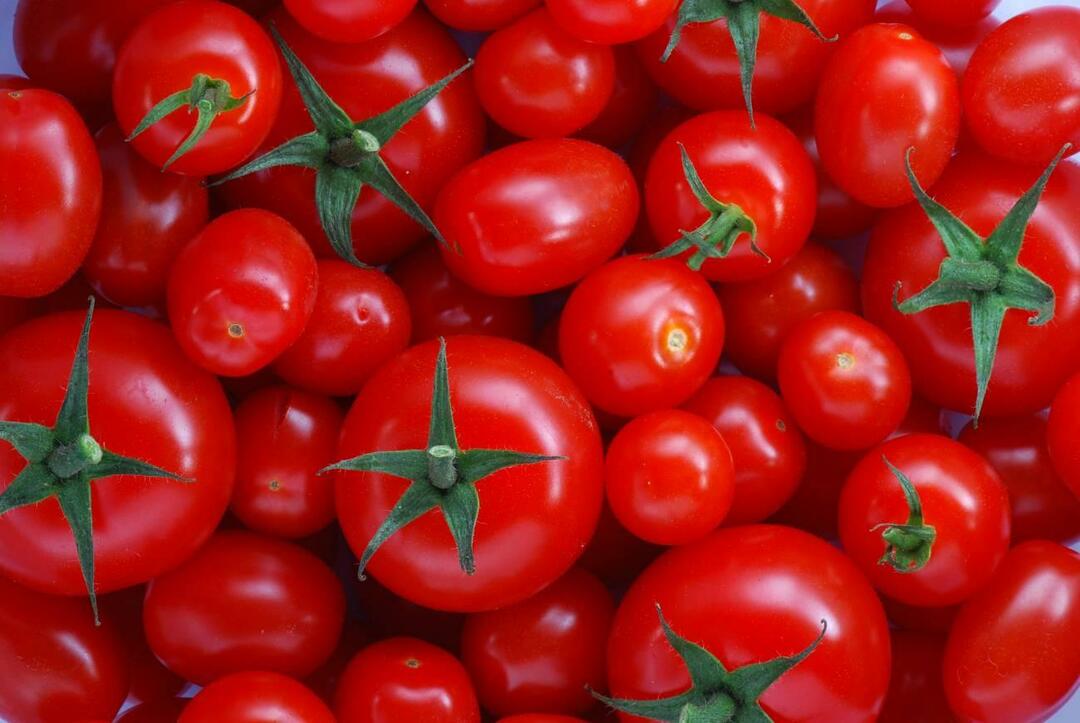 Como escolher tomates menemenlik