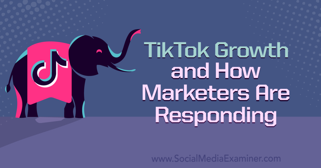 Crescimento da TikTok e como os profissionais de marketing estão respondendo: examinador de mídia social