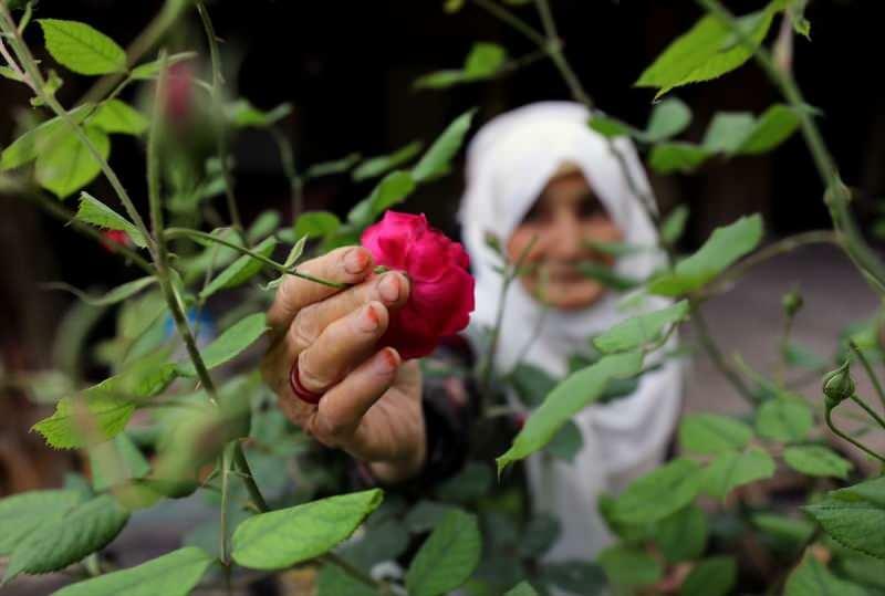 Vovó Ayşe, 83, que derrotou Kovid-19, faz geléias com aroma de rosas!