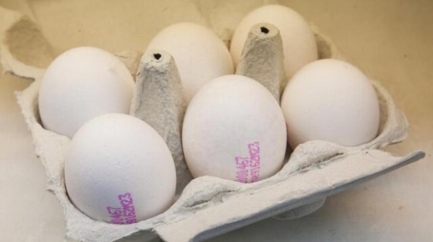 Como o ovo orgânico é entendido? O que significam os códigos do ovo?