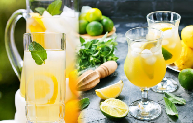 Como fazer uma dieta de limonada para emagrecer? Diferentes receitas de limonada que fazem você perder peso rapidamente