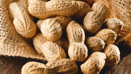 Quais são os benefícios do amendoim? Para que doenças os amendoins são bons?