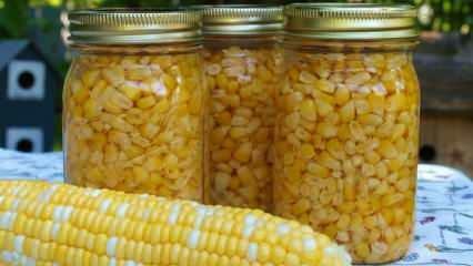 Como o milho é armazenado? Os métodos mais fáceis de armazenamento de milho! Preparação de milho de inverno