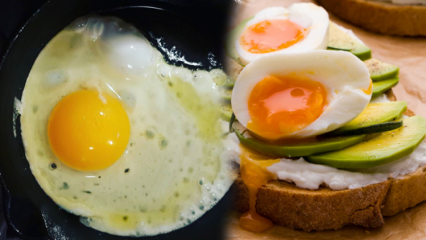 Quais óleos são benéficos para a nossa saúde? Se você consumir o ovo mal cozido ...