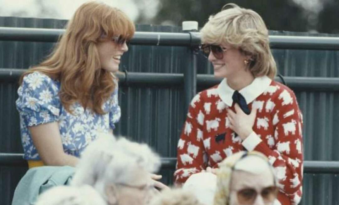 O suéter icônico da princesa Diana foi vendido por um preço surpreendente! Para a ovelha negra, exatamente...