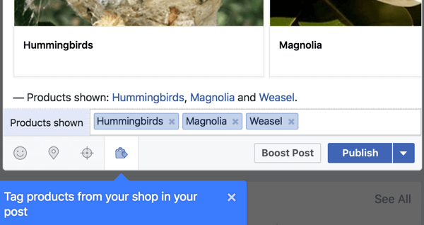 Inclua links de produtos de sua loja no Facebook.