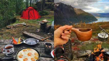 Quais são os equipamentos de cozinha necessários para acampar? Lista de equipamentos de cozinha necessários para acampar ...