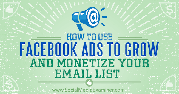 Como usar anúncios do Facebook para crescer e monetizar sua lista de e-mail: Examinador de mídia social