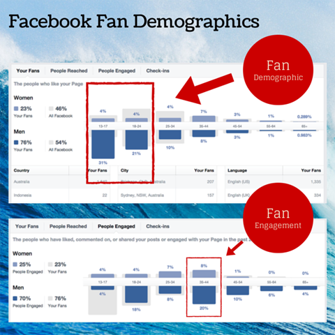 gráfico demográfico de fãs do Facebook