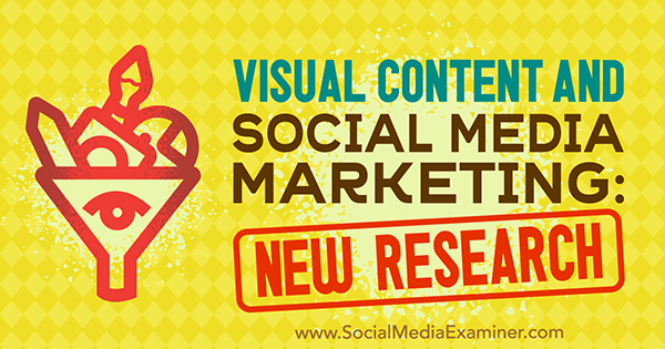 Conteúdo visual e marketing de mídia social: nova pesquisa de Michelle Krasniak no examinador de mídia social.