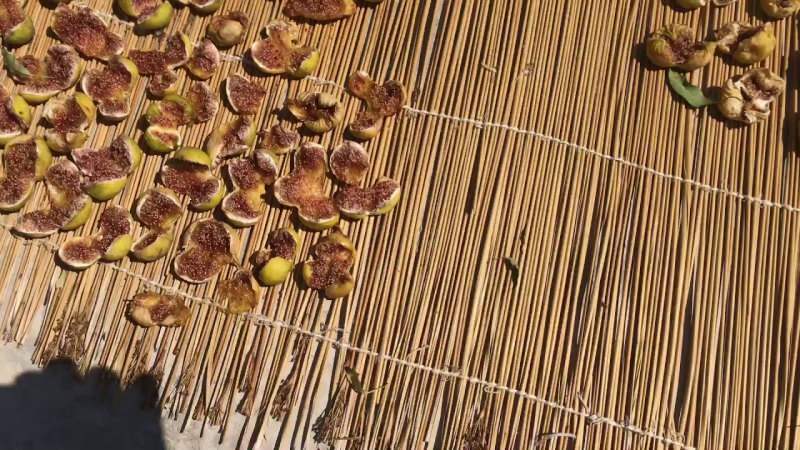 Como são secos os figos? Método de secagem de figo em casa! Condições de armazenamento de figo ...