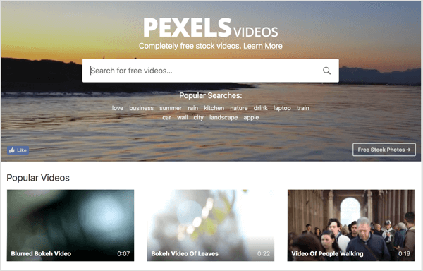 A Pexels oferece estoque de vídeo gratuito que você pode usar em seus anúncios em vídeo do LinkedIn.