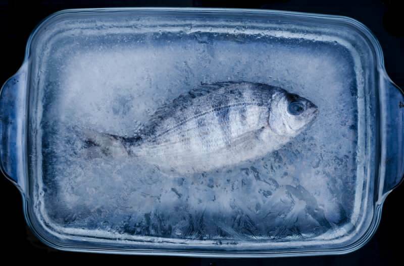 Por quantos dias o peixe no freezer deve ser consumido?