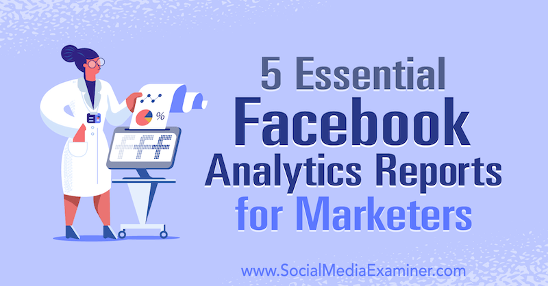 5 relatórios essenciais do Facebook Analytics para profissionais de marketing por Mariia Bocheva no examinador de mídia social.