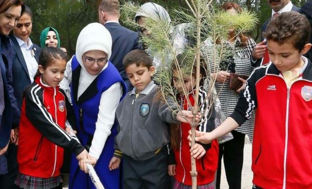 Postagem do Dia Nacional do Florestamento da primeira-dama Erdoğan