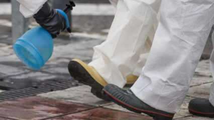 Como fazer a limpeza completa dos sapatos? Como a parte inferior do sapato é desinfetada?
