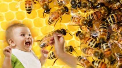 Como o mel deve ser administrado aos bebês? O que não deve ser dado antes dos 1 anos de idade