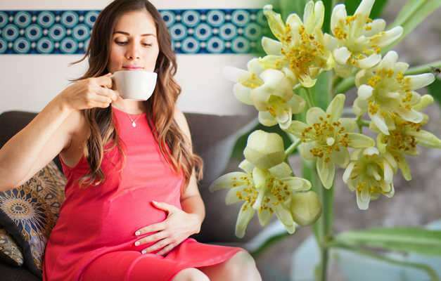 Sugestão de chá de ervas durante a gravidez de Saraçoğl! É prejudicial para as mulheres grávidas beberem chá de ervas?