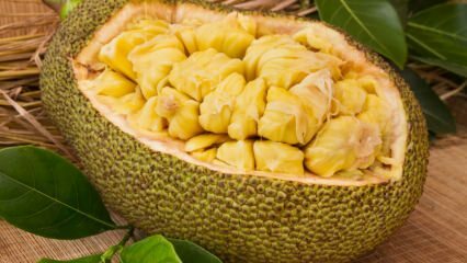 O que é fruta de Jack? Quais são os benefícios da fruta Jack? Como comer jack fruit?