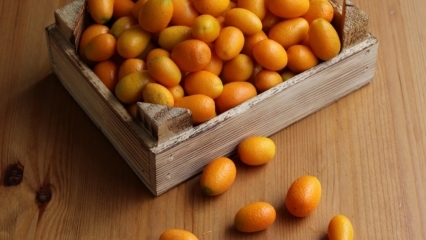 Quais são os benefícios do Kumquat (Kumkat)? Para quais doenças o kumquat é bom? Como o kumquat é consumido?