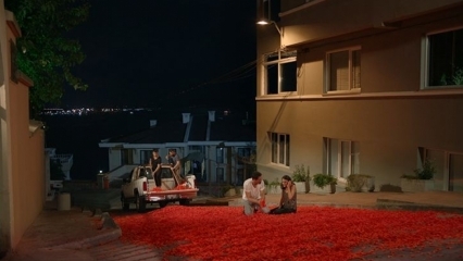Proposta de casamento de Onur Tuna com 100 mil folhas de rosa!