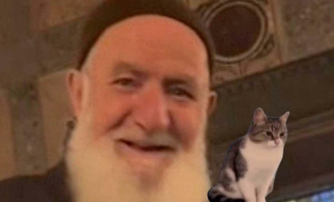 O avô amante de gatos falou pela primeira vez em Hagia Sophia! Ahmet Dede me fez sorrir novamente